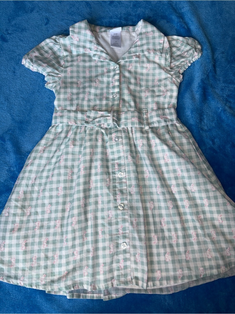 Draper James Mint Green Gingham Button-Front Dress with Pink Motif
